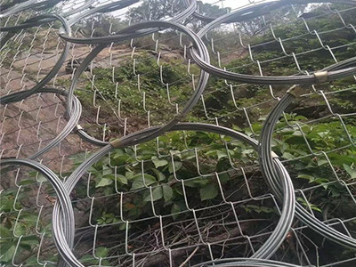 环形边坡防护网案例图片4
